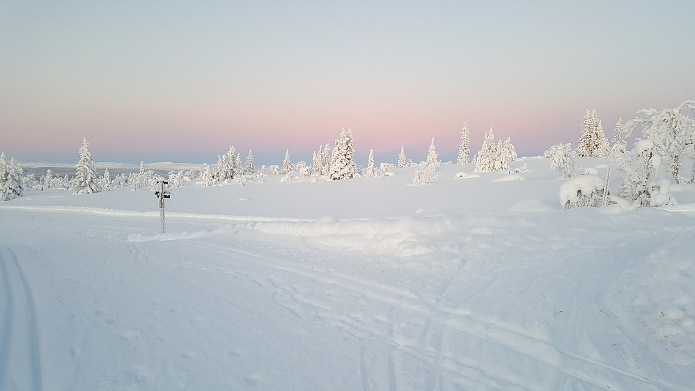 Ved Værskei