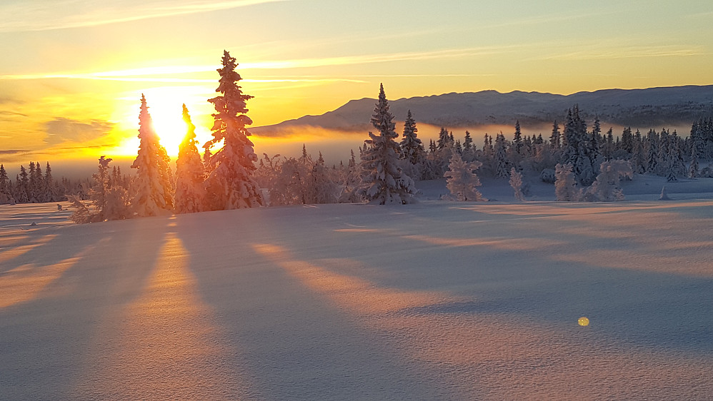 Ved Morgobeittjønnet