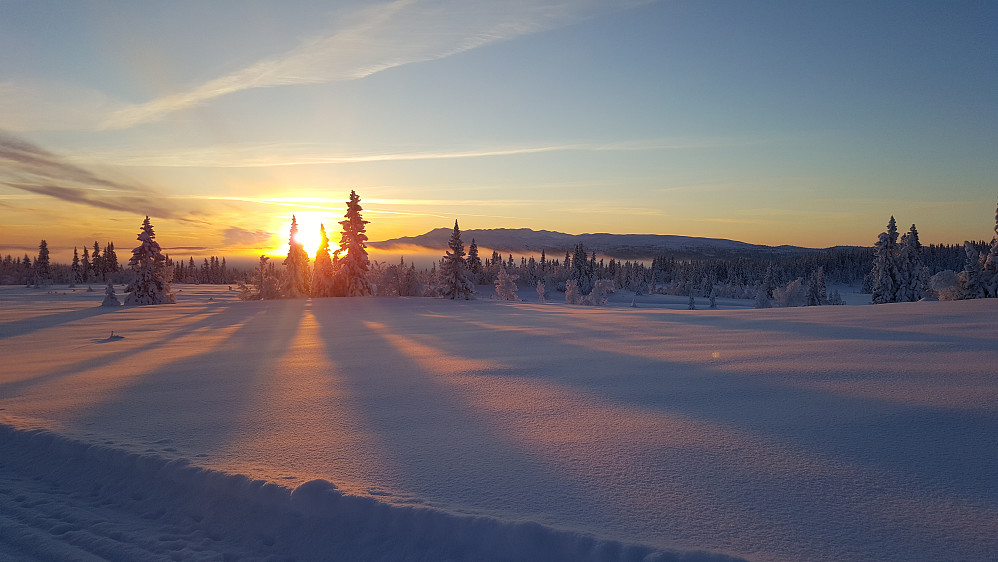 Ved Morgoneittjønnet