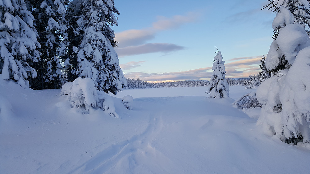 Ved Neversjøen