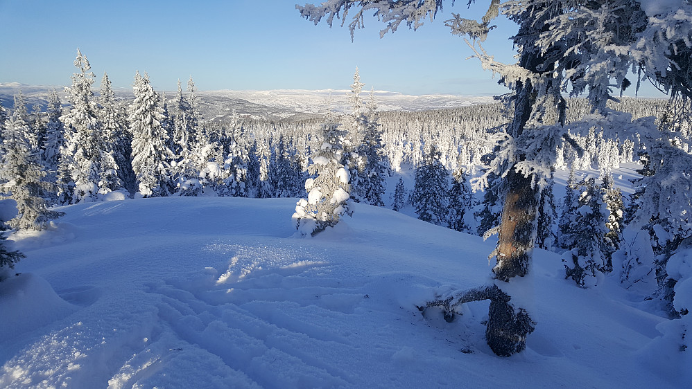 Rindåsen trigpunkt