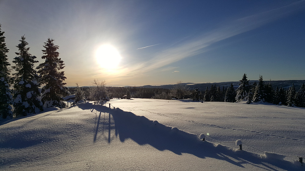 Rindåsen