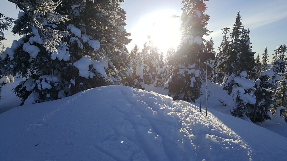 Rindåsen trigpunkt