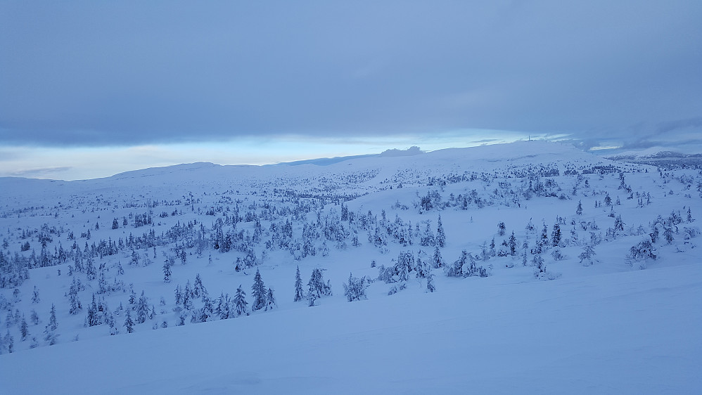 På Kyrakampen