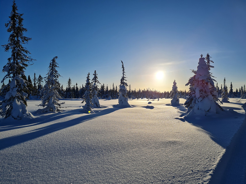 Ved Grågampen