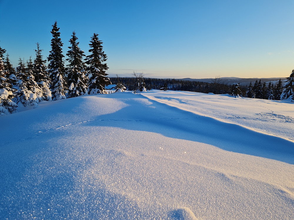Rindåsen