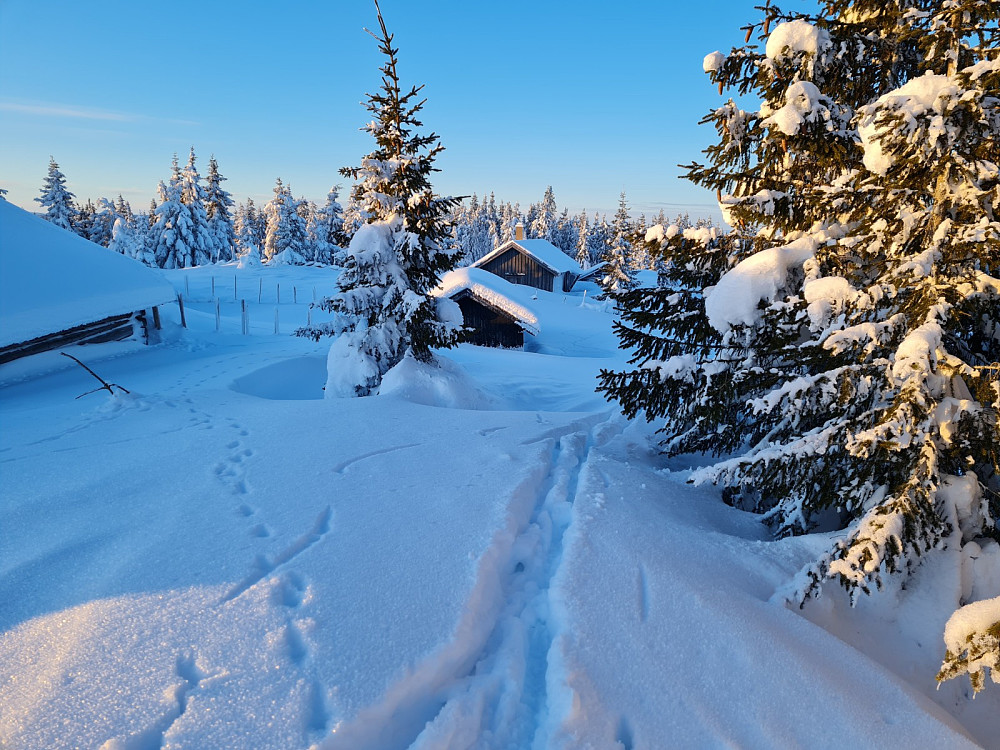Rindåsen
