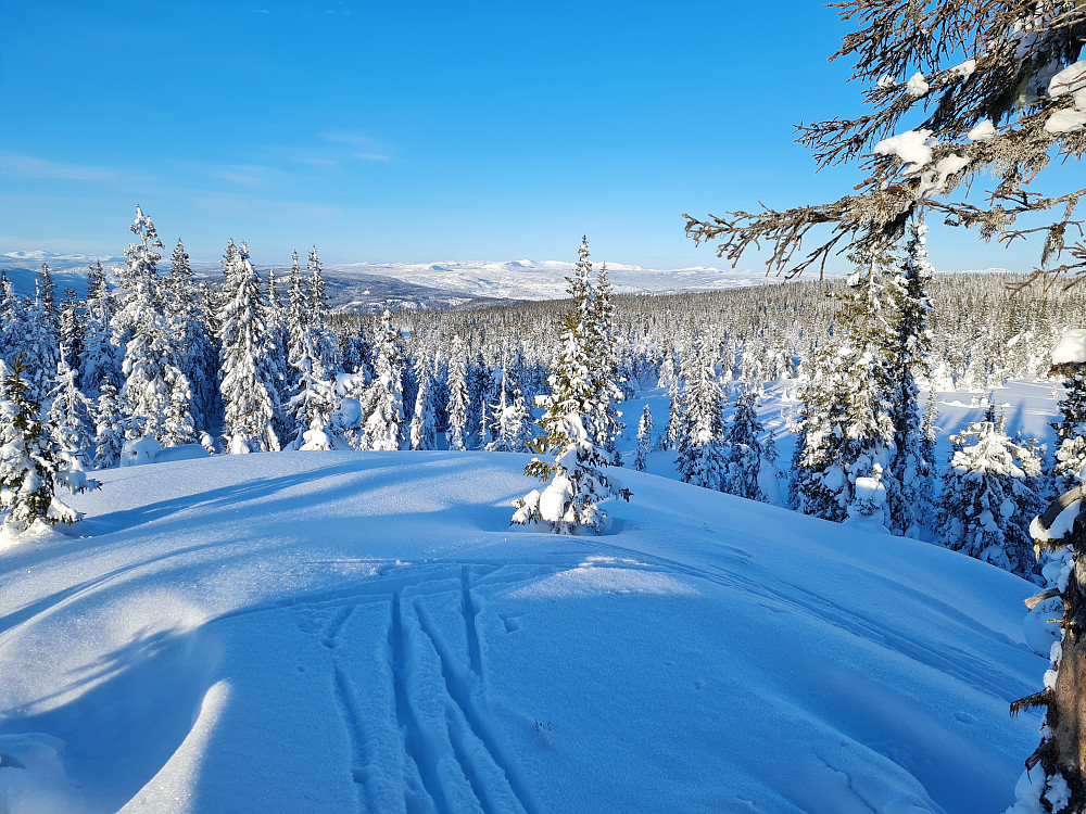 Rindåsen trigpunkt