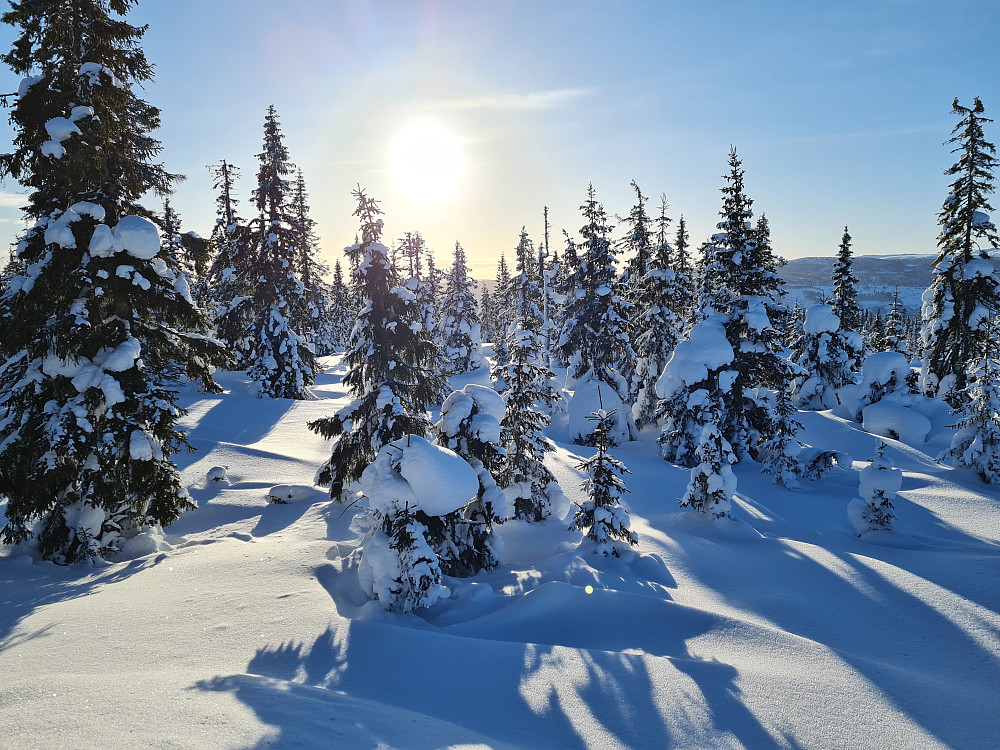 På Kinnkjølen