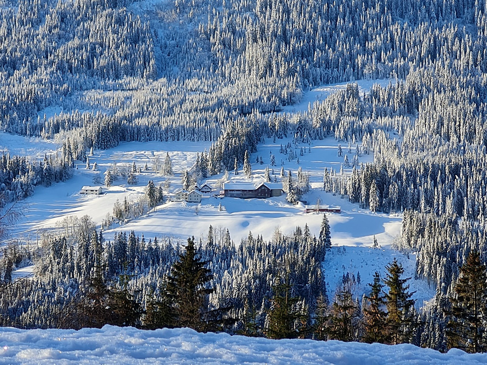 Nygaard fra Granum