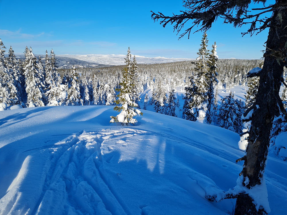 Rindåsen trigpunkt