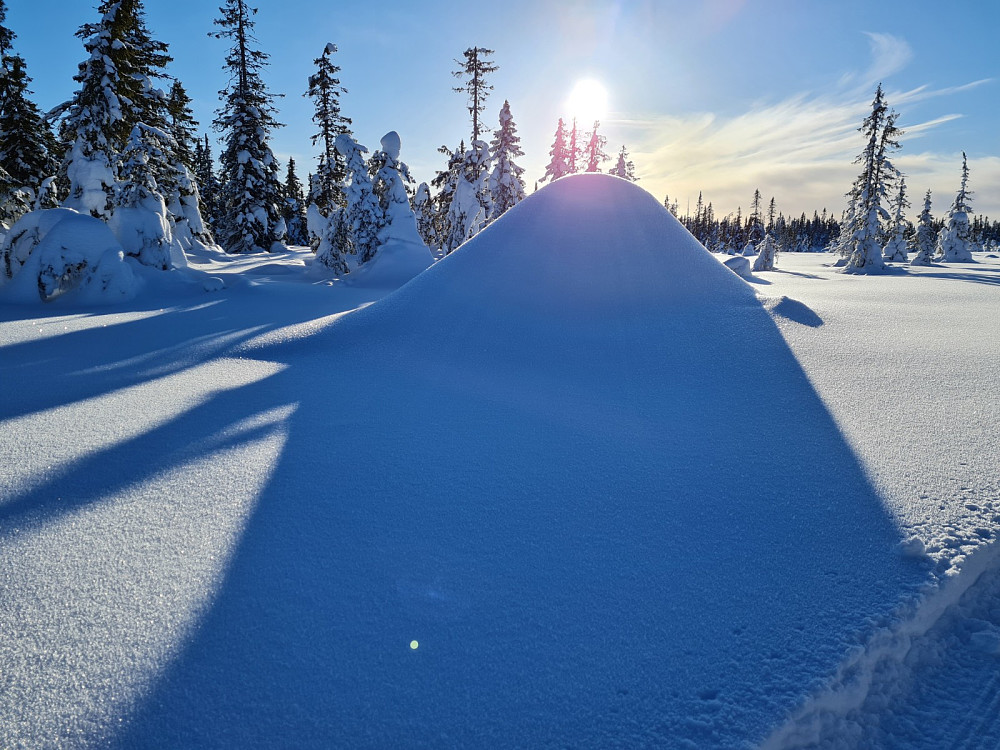 Grågampen