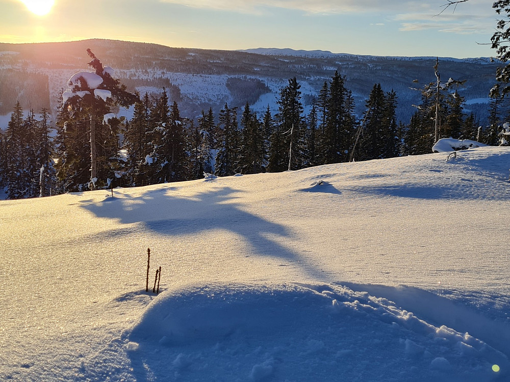 Finsrudbekkhøgda