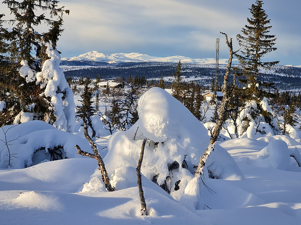 På Værskeitoppen, mot Ruten