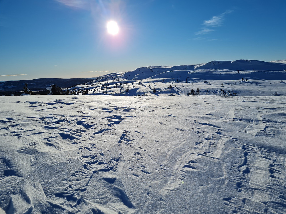 På Flugstadfjellet