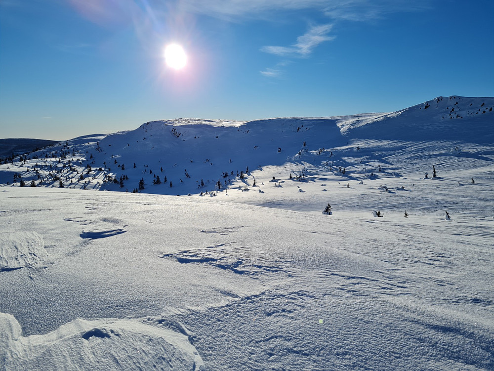 På Rævskorotjønnhaugen