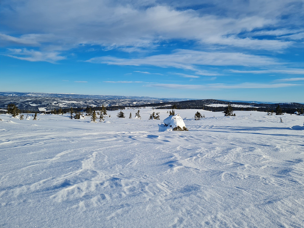 På Condruphaugen, mot Grøtåshaugen