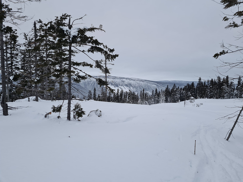 Finsrudbekkhøgda