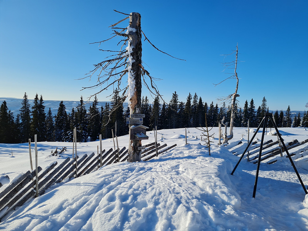 På Landskampen