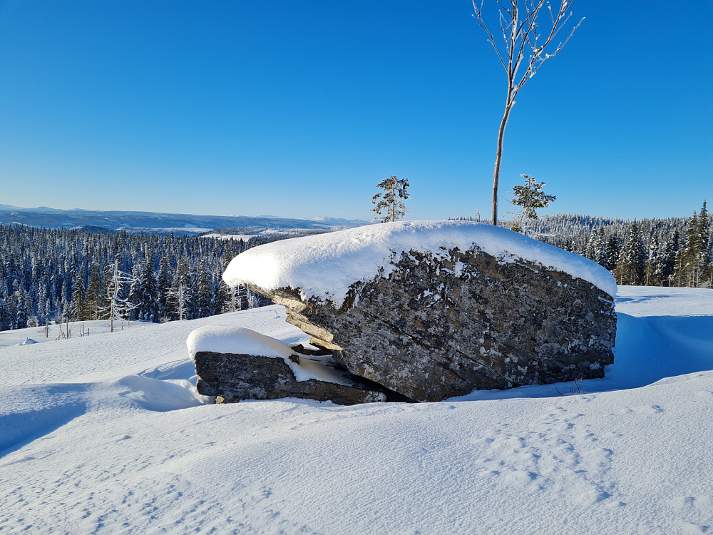 En snodig stein ved Nils-løypa