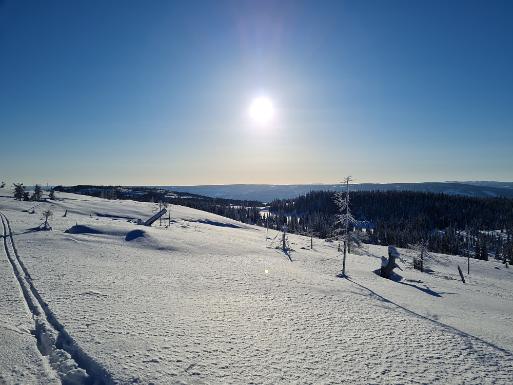 Store snaufelt ved Finntjernet, tatt ved den snodige steinen