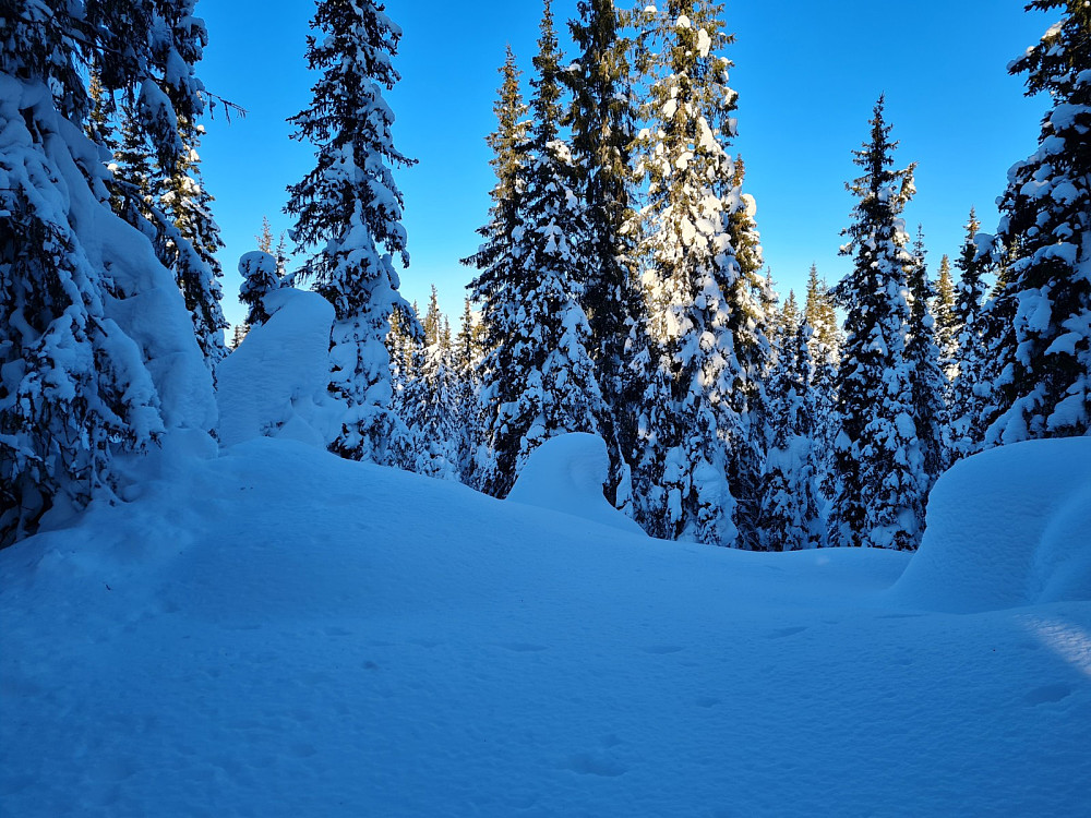 Demmtjernet punkt 784