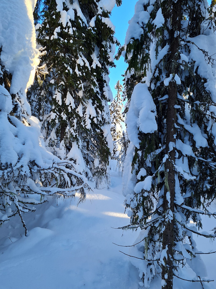 Vesleseterhøgda