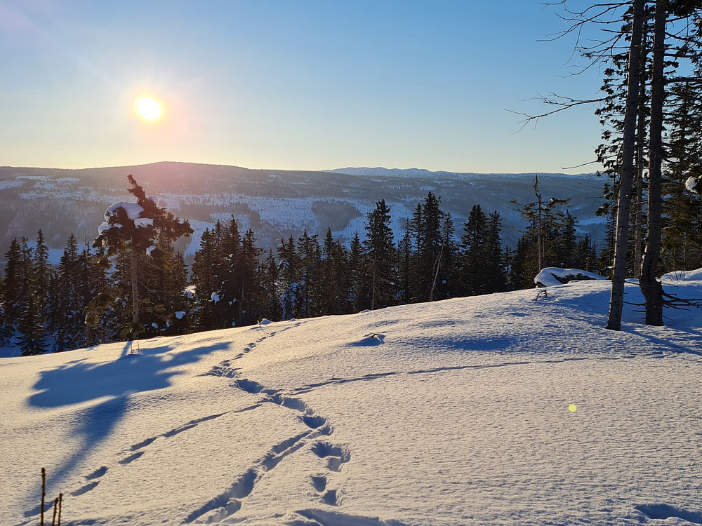 På Finsrudbekkhøgda
