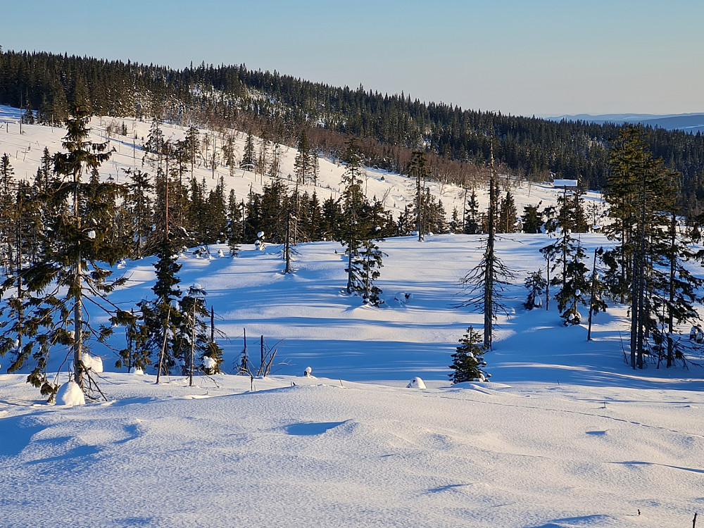På Finsrudbekkhøgda, mot Slette
