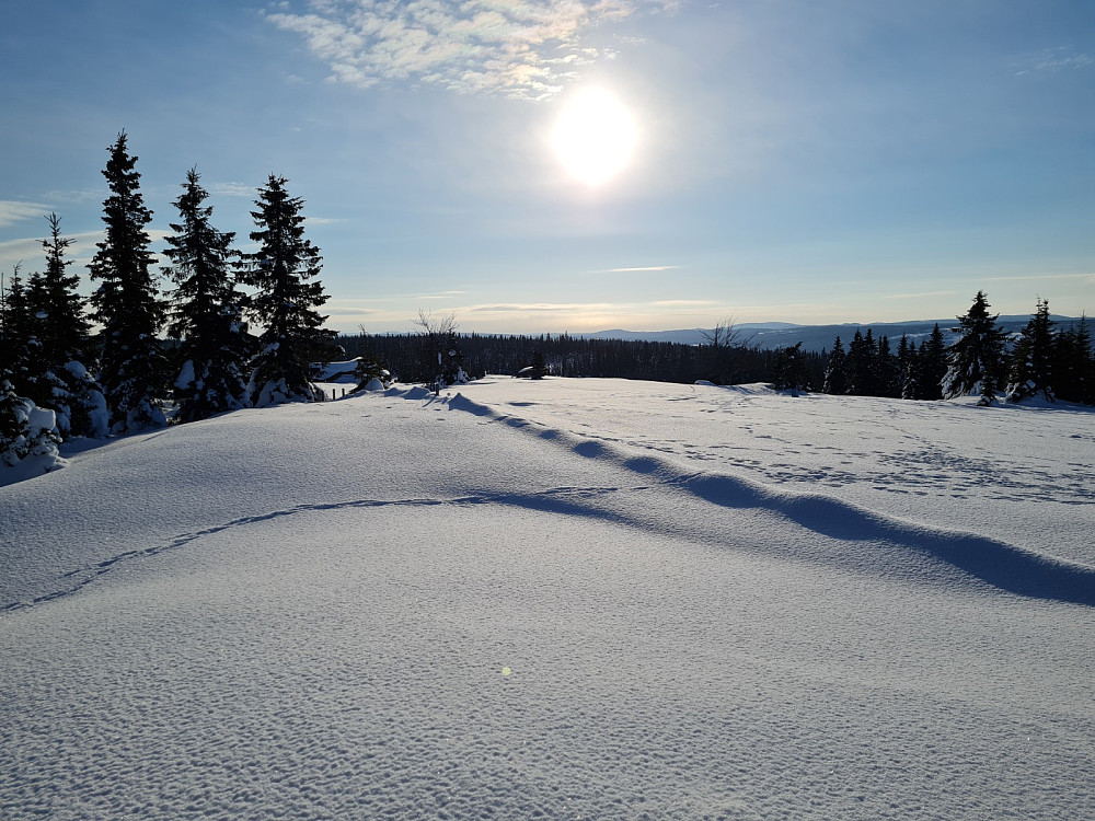 Rindåsen