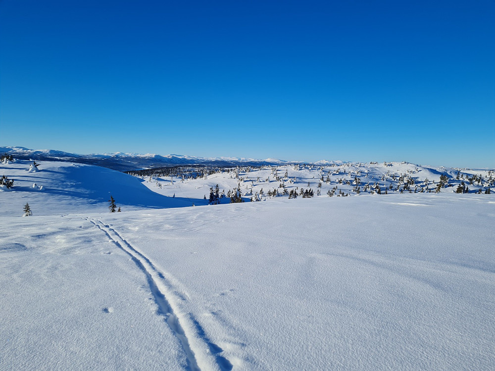 På Condruphaugen