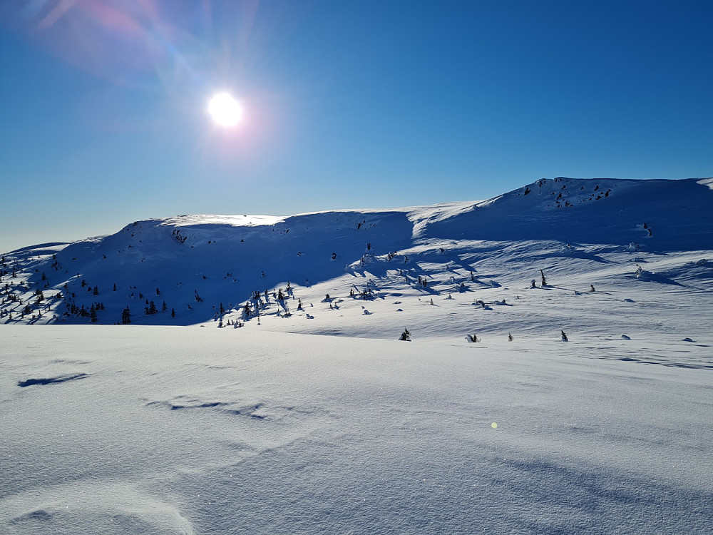 Rævskorotjønnhaugen