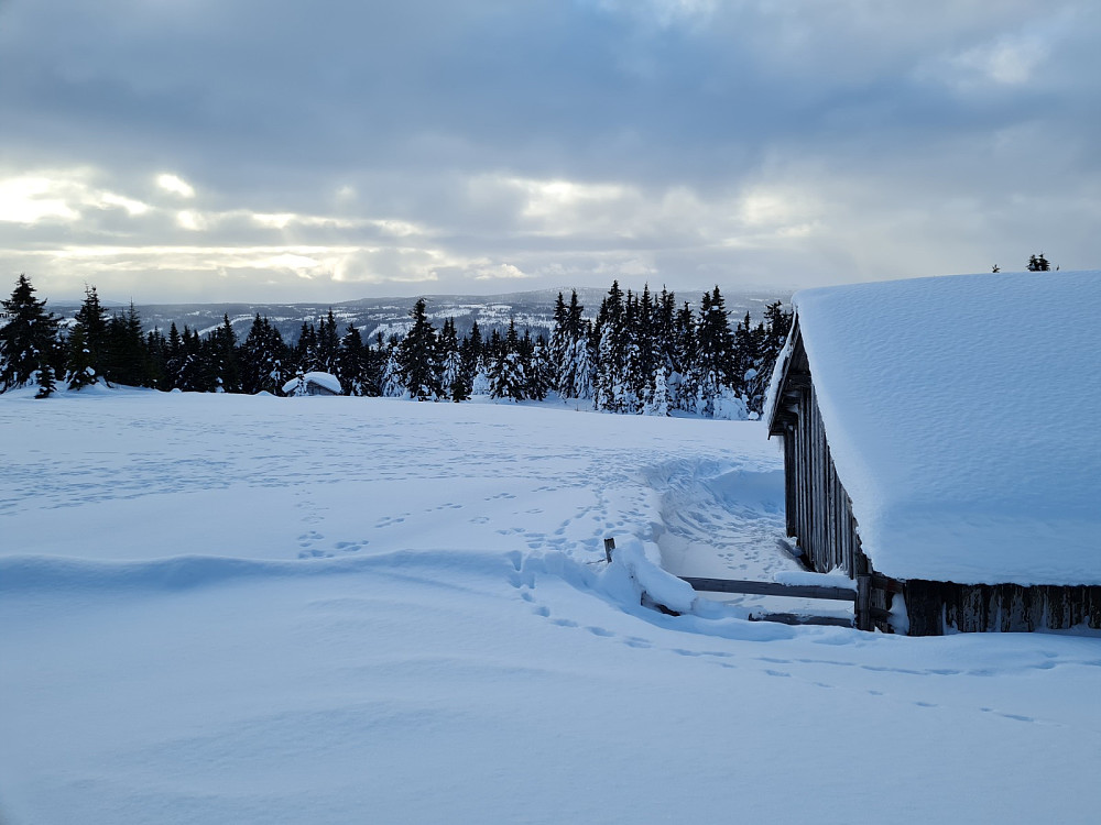Rindåsen