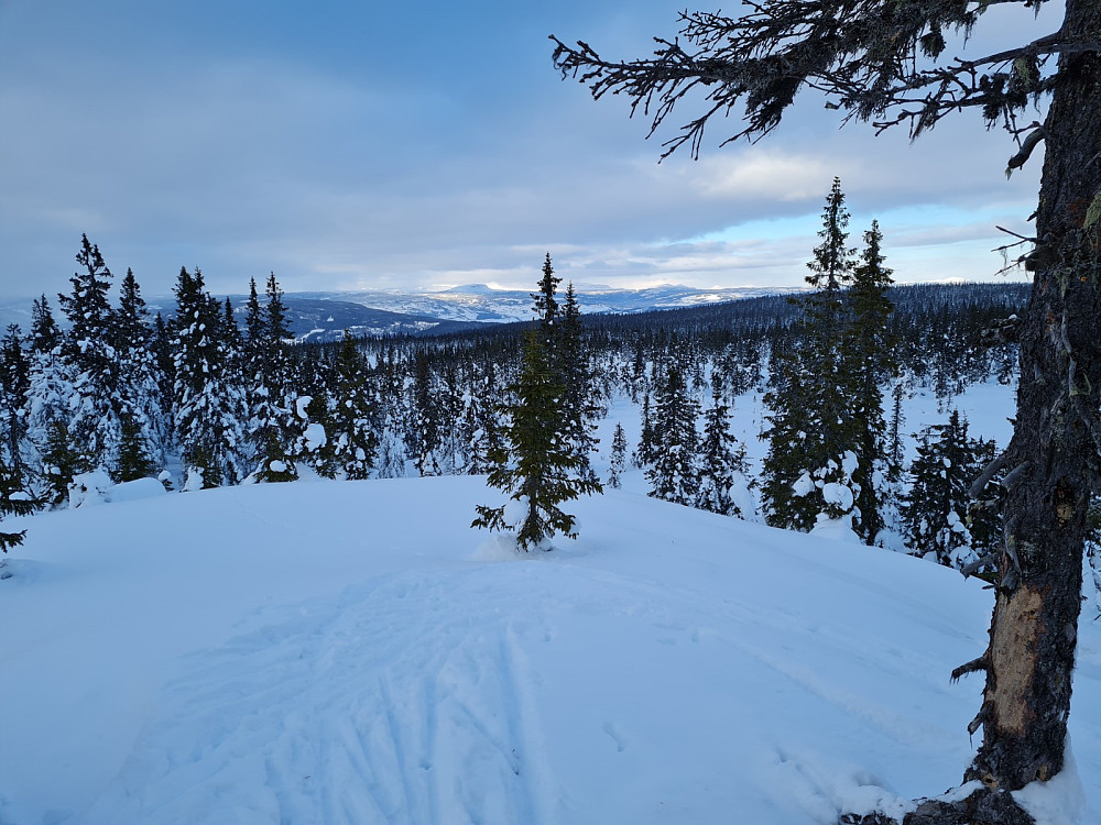 Rindåsen trigpunkt