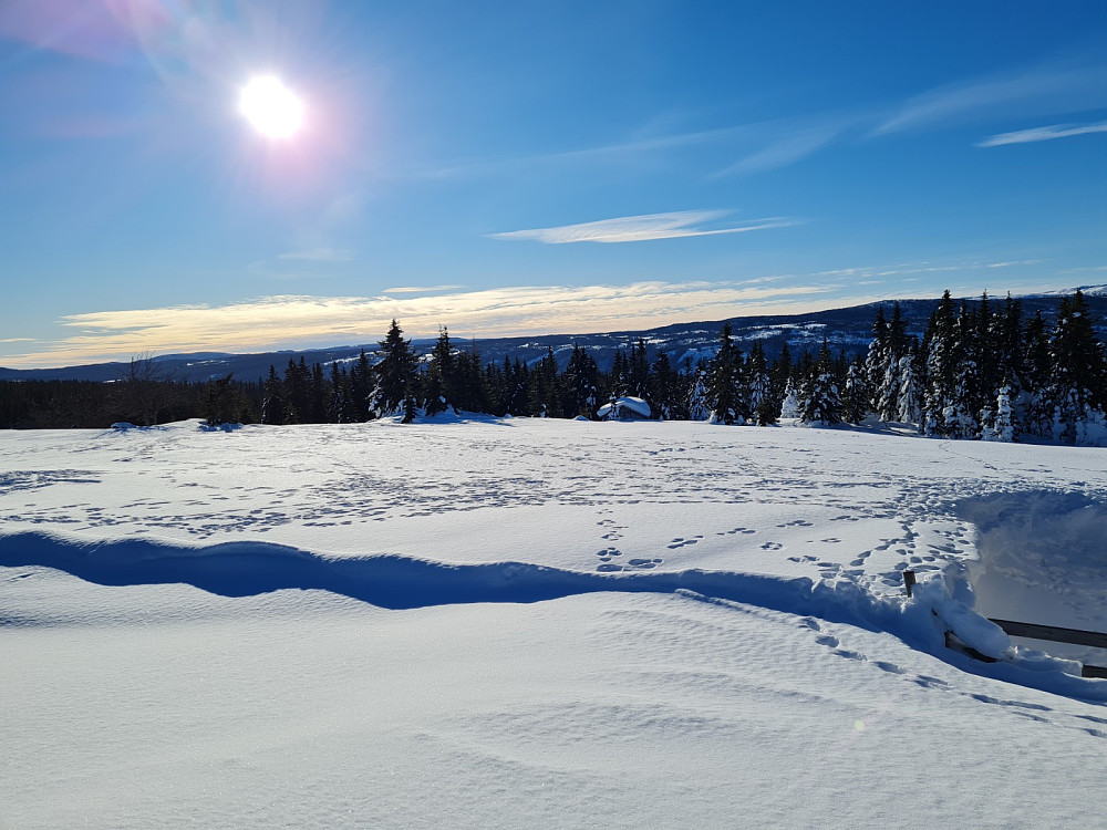 Rindåsen