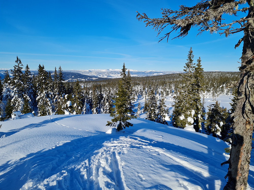 Rindåsen trigpunkt