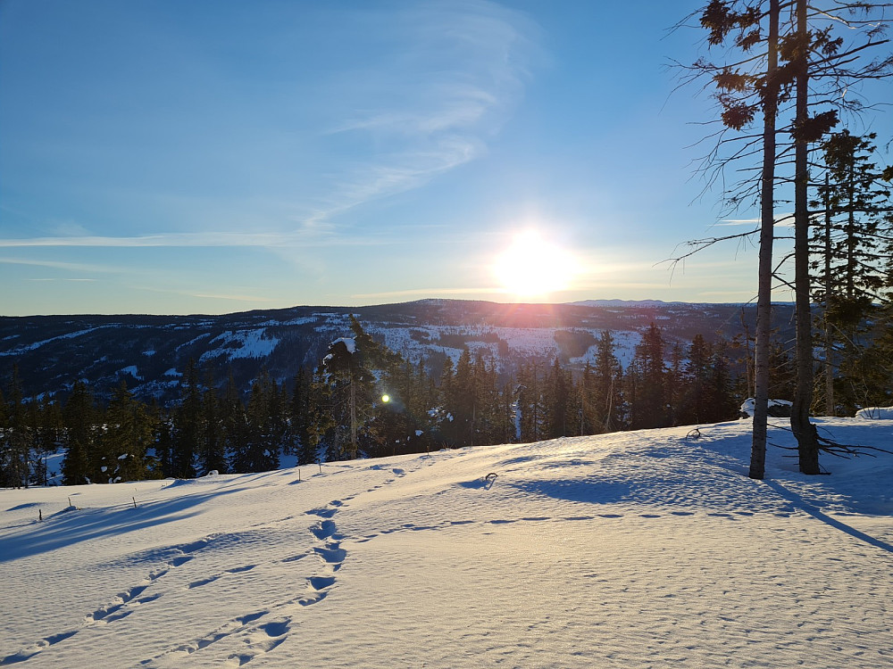 Finsrudbekkhøgda