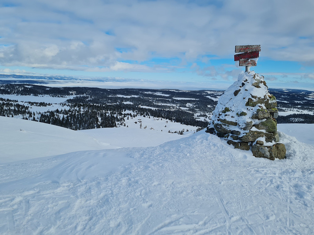 Prestkjerringa