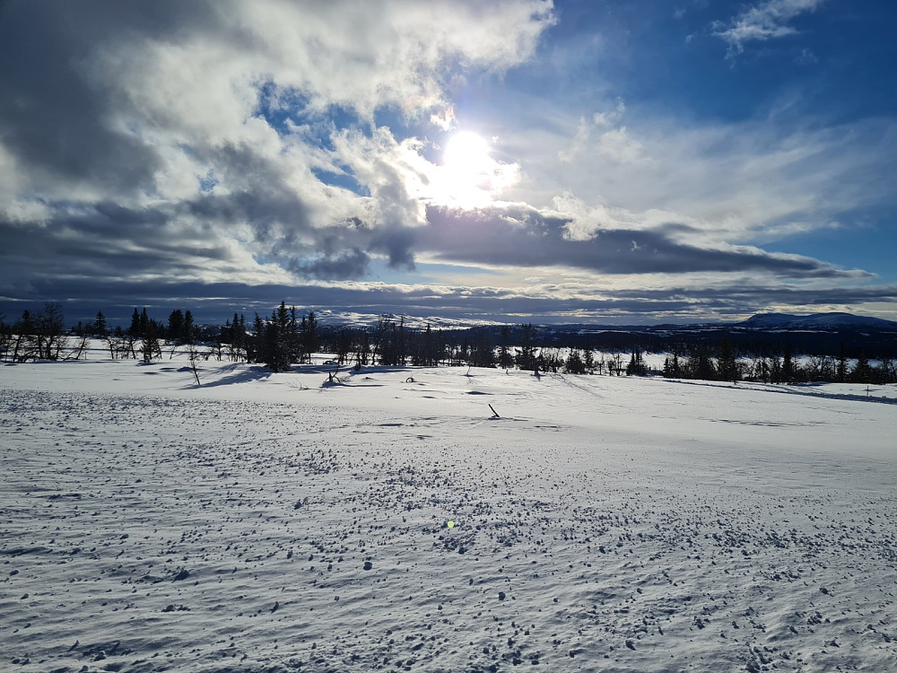 Værskei