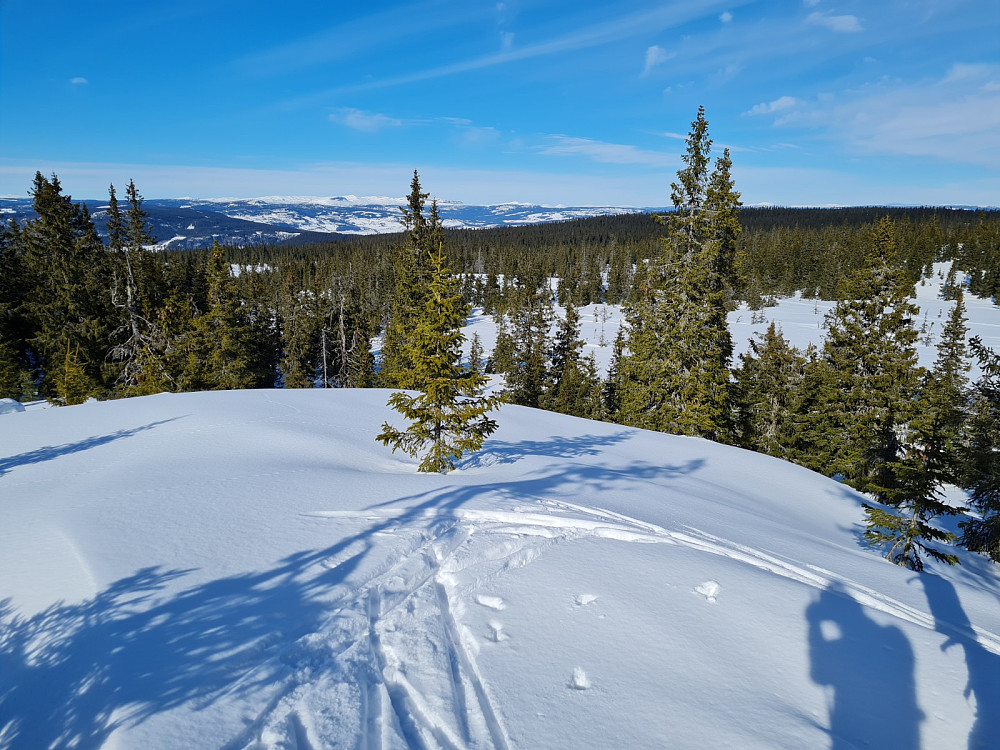 På Rindåsen trigpunkt
