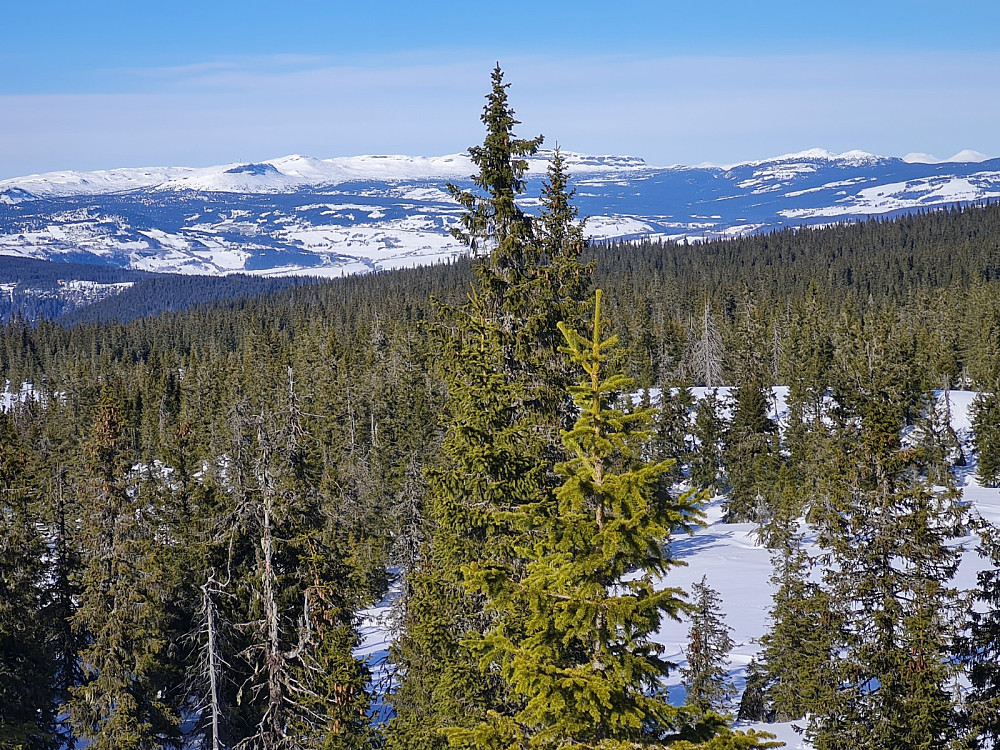 På Rindåsen trigpunkt