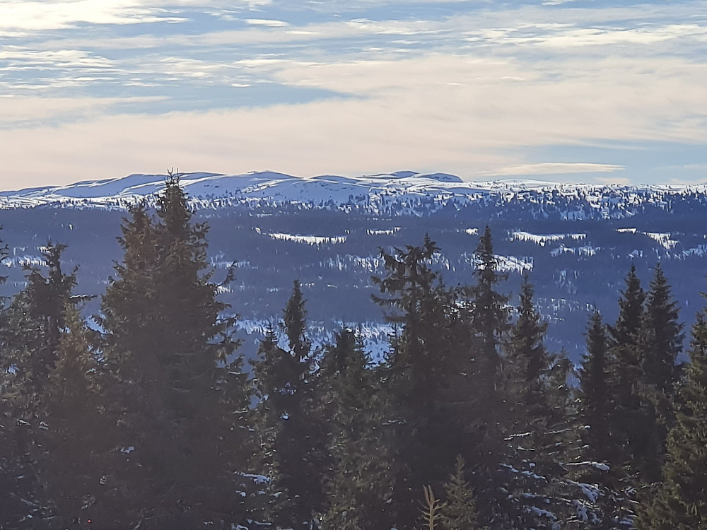 Skjelbreidsfjellet fra Rindåsen