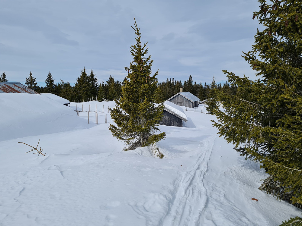 Rindåsen