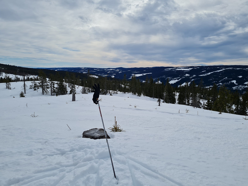 Finsrudbekkhøgda