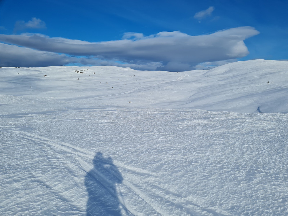 På Skarethøgda