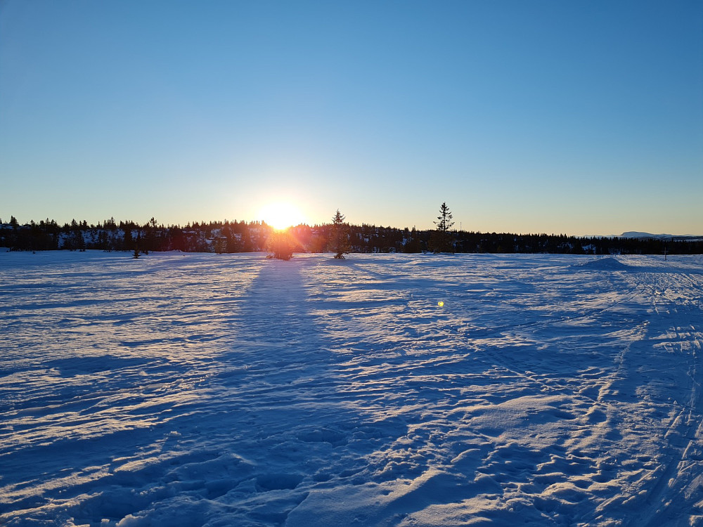 Solnedgang