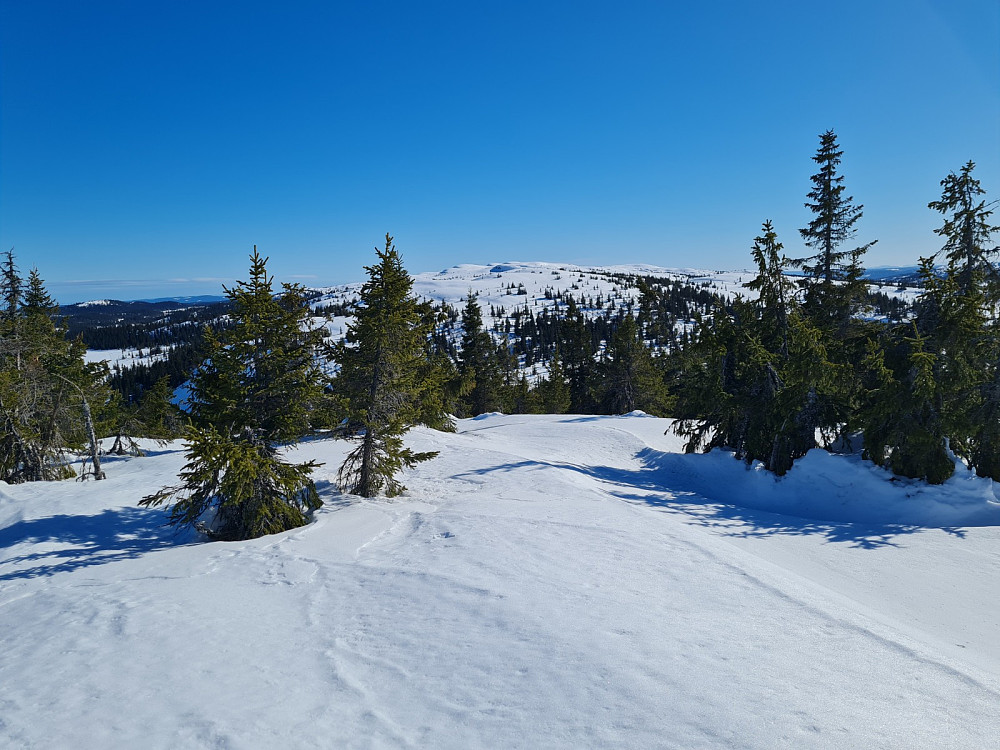 På Rypefjellet