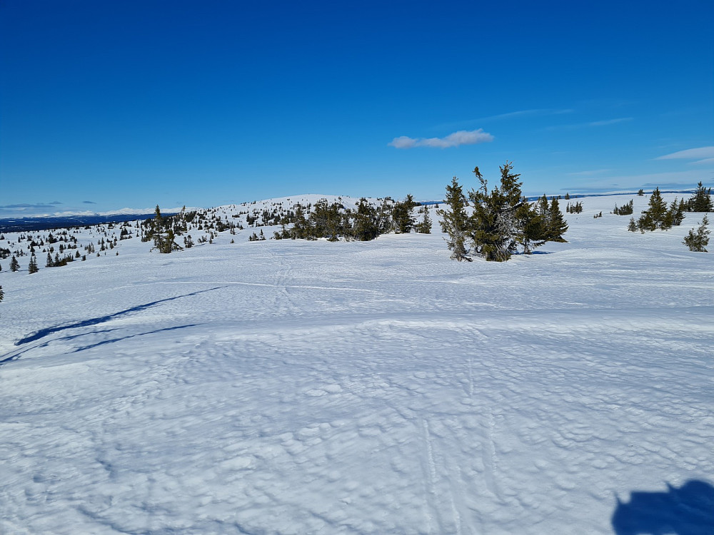 På Nordre Hærfjellet