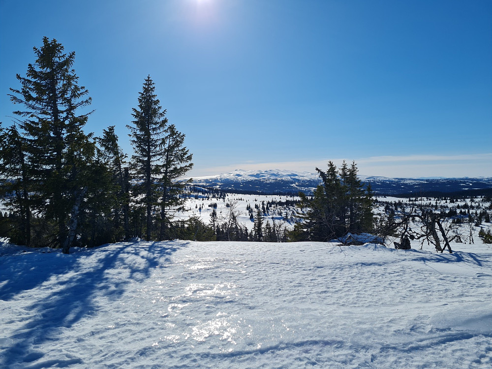 På Storrtjønnhaugen