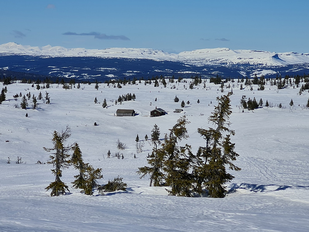 Staumsetra fra Storrtjønnhaugen